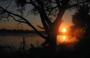 Sjuksköterskan utforskar världen